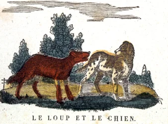Ulven og hunden, La Fontaines fortælling, begyndelsen af det 19. århundrede (kobberstik)