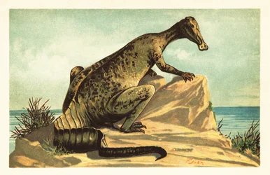 Trachodon mirabilis, uddød hadrosaurad dinosaur.1908 (litografi)