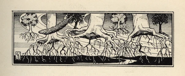 Træer ødelægger af en storm omplanter deres rødder til det nøjagtige sted, hvor de var. Illustration af William Strang (1859-1921) og JB Clark fra "The Adventures of the Baron of Munchausen (Munchhausen) af Rudolf Erich Raspe (1736-1794) (1789)