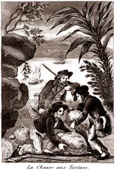 Skildpaddejagt