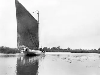 Storbritannien: A Wherry ved floden Bure nær Ranworth. Norfolk Broads,