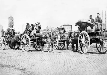 Storbritannien: Vinvogne på en vingård. Frankrig, c1890