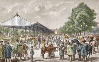 Udsigt over hestemarkedet i det 5. distrikt i Paris Stik af Les stages d