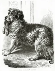 Med sin herres hjemmesko 1902 (litho)