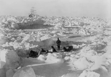 Imperial Trans-Antarctic Expedition: besætningsmedlemmer spændt sammen siddende på en isflage, ca. 1914-17 (foto)