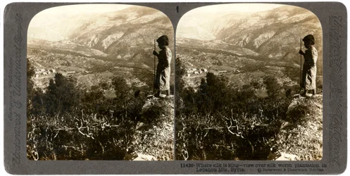 En silkeormeplantage i Libanon-bjergene, Syrien, 1900-tallet.