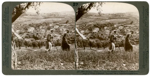 Bethany, set fra den østlige skråning af Oliebjerget, Palæstina, 1899.