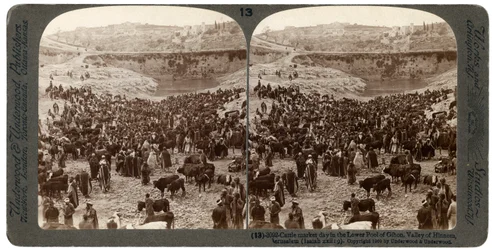 Kvægmarkedsdag, i den nedre pool af Gihon, Hinnom-dalen, Jerusalem, Palæstina, 1900.