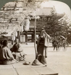 Nedhængende klynger af blåregn over en tehusveranda, Kyoto, Japan, 1904