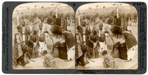 Eksperter køber silkekokoner til eksport til Frankrig, Antiochia, Syrien, 1900-tallet.