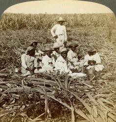 På La Union sukkerplantage, San Luis, Santiago-provinsen, Cuba, 1899.