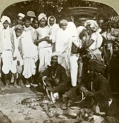 Slangetæmmer, Calcutta, Indien, omkring 1900-tallet.