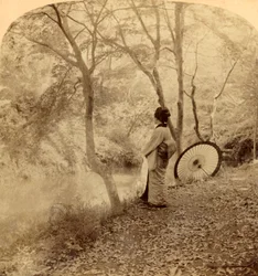 Efterårets gyldne dage i Japan, 1896.