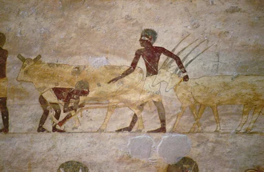 Procession med kvæg og gazeller, detaljer fra et gravmaleri, egyptisk, old to Middle Kingdom (malet kalksten)