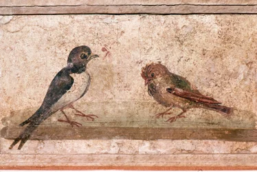 Svale og Sparrow, romersk vægmaleri fra Boscoreale nær Pompeji, 1. århundrede