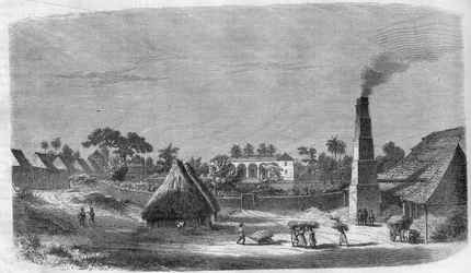 En slikfabrik på øen Cuba i 1869.
