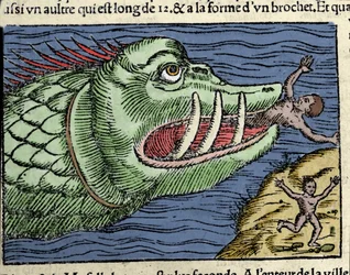 Et havmonster slår en svømmer nær Norges kyst. Gravering af Olaus Magnus (1490 - 1557), svensk religiøs og geograf, "Historia de Gentis Septentrionalibus", Venedig