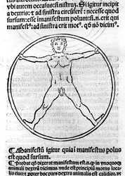 En side af "De fattiges filosofi" af Albert den Store (= Albert Magnus 1206 - 1280). Illustration, der viser en mand i en cirkel. Brescia 1493