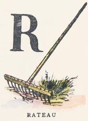 A: rive