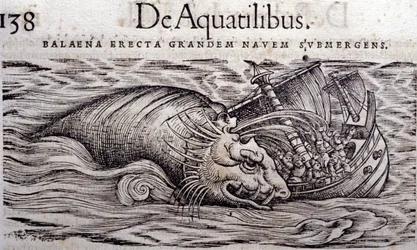 En hval ødelægger en båds skrog og får den til at synke. Gravering n Historia Animalium af Conrad Gesner (1516 - 1565), Tiguri