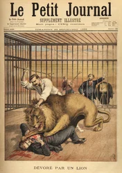 En ung mand, der ønsker at blive fotograferet i en løves bur, bliver fortæret på trods af tæmmerens bestræbelser på at holde løven. Indgravering i "" Le petit journal"" 29/09/1895. Selvas samling.