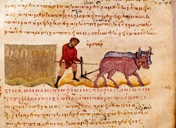 Landbrug: pløjescene. Miniature fra jagtbranchen "" The Cynegetics "" af Oppian (Oppian eller Oppianus) fra Syrien (3. århundrede e.Kr.) dedikeret til Caracalla. Venedig fra det 11. århundrede. Biblioteca Marciana