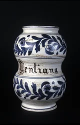 Albarelle: tidligere apoteksvase fra det 16. århundrede indeholdende ensian. Museum for Videnskab og Teknologi, Milano.