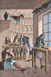 Albrecht von Haller (Albert de Haller) (1708-1777) i hans laboratorium Bern i Schweiz - Laboratorium for den schweiziske læge Albrecht von Haller (1708-1777) i Bern