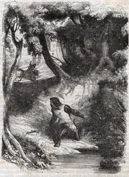 Astolphe på kanten af et springvand - indgravering af 1851 fra "" Furious Roland"" (Orlando furioso) (1500-tallet) af Ludovico Ariosto, kendt som Ariosta - Udgave oversat fra italiensk af greven af Tressan og udgivet af Gustave Harvard 1851