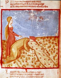 Ved indgangen til Paradiset møder Dante Mathelda og drikker vand fra Eunoe-floden, hvilket gør mindet om gode ting gennemført. Oplyst side, der illustrerer en sang fra Paradiset fra "Divina Commedia" af Dante Alighieri (1265-1321). 14. årh