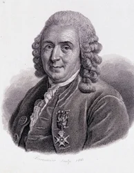 Carl Von Linné svensk naturforsker og forfatter (1707 - 1778) - i "Portræt af nyttige mænd""