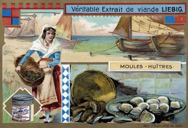 Samling af muslinger og østers - chromo. Liébig, v.1900