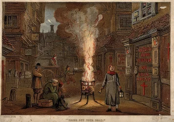 Den store pest i London, 1665
