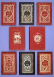 Forskellige forsider af Jules Vernes bøger udgivet i Hetzel-udgaver. Verne biblioteks samling. Paris.