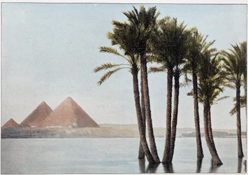 Egypten: oversvømmelsen af Nilen og pyramiderne i Giza (Gizeh, Gizeh, Giza).