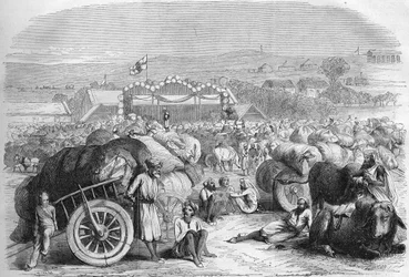 Engelsk Indien 1872: Bomuldsmarkedet i Khangaon.