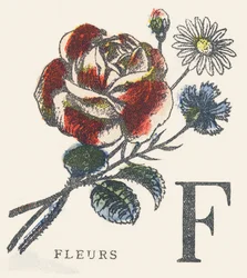 F: blomster