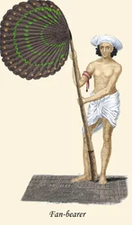 Viftebærer