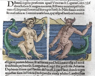 Fantastiske væsner: En vandsalamander og en sirene set i Nilen. Gravering fra ""Le livre des prodiges"" (Chronicle of prodigies and showmen of Basel) af Wolfhart (Conrad Lycosthene) 1557