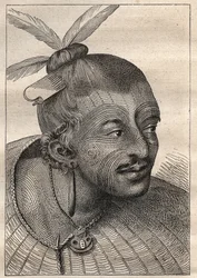 Første rejse (1768-1771) af kaptajn James Cook (1728-1779): tatoveret hoved af en Neo-Zelandais (Neo Zelandais) - illustration taget fra "The Great Mariners of the 18th century""