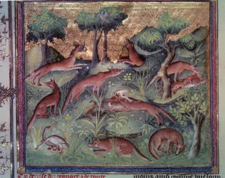Rævejagt fjerkræ. Miniature fra manuskriptet "" Le livre de la chasse"" (folio 34v) af Gaston Phoebus (1331-1391) dit Gaston III Comte De Foix