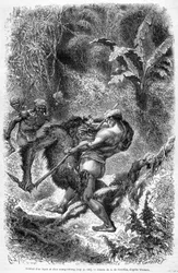 Illustration offentliggjort i 1862-udgaven af "Le Tour du monde", der skildrer en kamp mellem en dayak og en orang-outan (orang-utang, orang-outang, orang-utang) på øen Borneo. Gravering.