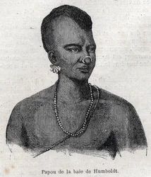 Oprindelige folk i New Guinee (New Guinee): Papua i Humboldt Bay. Gravering i "" L