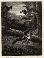 Job (redaktørens rejsekammerat), angrebet af gribbe. Gravering for at illustrere historien Quatre mois en Florida, af M. Pousselgue, i 1851-1852, udgivet i "" le tour du monde"", under ledelse af D