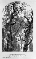 John Keats: Ode til en nattergal