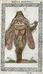 The Cyclopes - i "" Habits and Effigies"" af Jean Sluperius