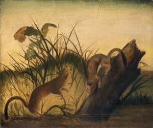 Langhalet væsel, ca. 1845