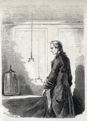 Luigi Galvani forårsager frøsammentrækninger af lynaflederelektrit - LUIGI GALVANI (1737-1798) italiensk læge og fysiker. Forårsager sammentrækninger i en frø med elektricitet fra en tordensky