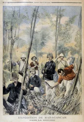 Madagaskar ekspedition: i bushen - i "" Le Petit Journal", august 1895