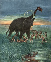Mammutjagtscene, stenalderen.